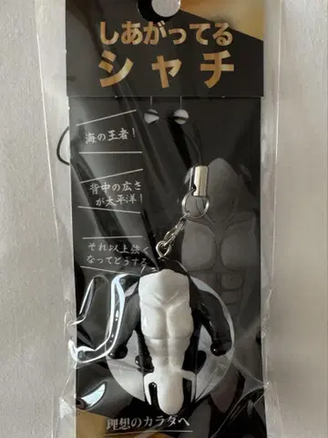 완성된 범고래 키링 스트랩
