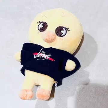 MINI PLUSH BbokAri 포가리 victory 필릭스