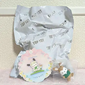 산리오 포차코 피규어 Spring Flower 로프트