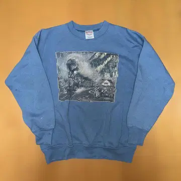 Hanes 맨투맨 트레이닝복 90s