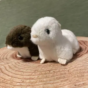 야마네 공방 이즈나 (여름털 겨울털)