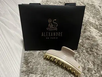 AEXANDRE DE PARIS 헤어 클립
