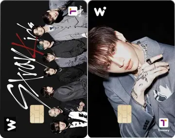 2장 세트 Stray Kids WOWPASS 방찬 와우패스 스키즈