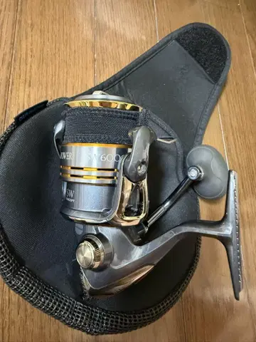 SHIMANO TWINPOWER SW6000PG