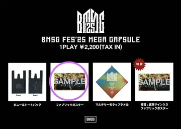 BMSG FES'25 메가 캡슐 패브릭 포스터