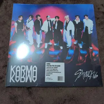 공식 StrayKids KARMA CLEAR SAPPHIRE VINYL