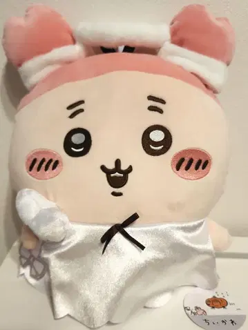 치이카와 (먼작귀) 운반해 - 봐봐 BIG 봉제 인형 게장군 헌책방