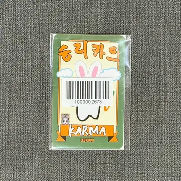 straykids KARMA 리노 FANS 리얼 터치 QR 트레이딩 카드