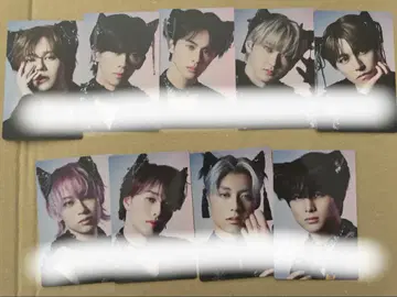 초특급 NINE LIVES 트레이딩 카드 컴프 세트