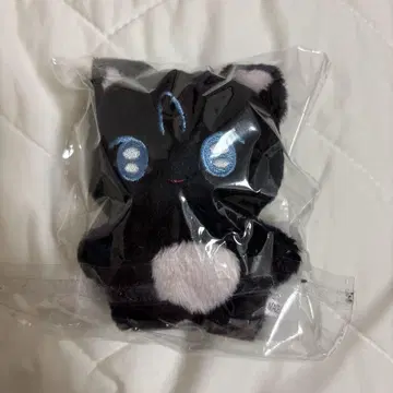 nct wish 리쿠 봉제 인형 마스터