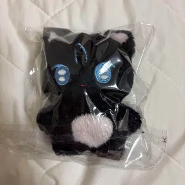 nct wish 리쿠 봉제 인형 마스터