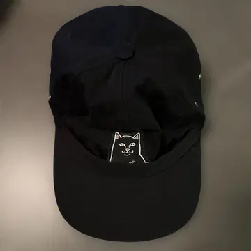 RIPNDIP 고양이 자수 블랙 캡