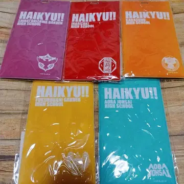 하이큐 티켓 홀더