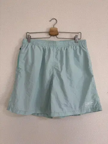 Wasted Youth SWIM SHORTS