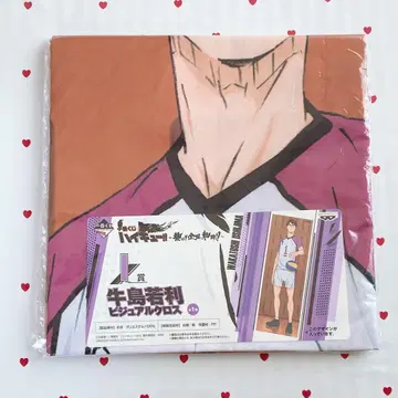 제일복권 하이큐!! 우시지마 와카토시 비주얼 크로스 등신대 시라토리자와