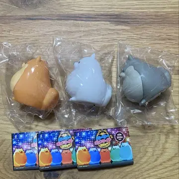펄리 포메 라이트