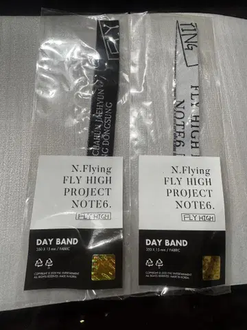 N.Flying FLY HIGH PROJECT DAY BAND