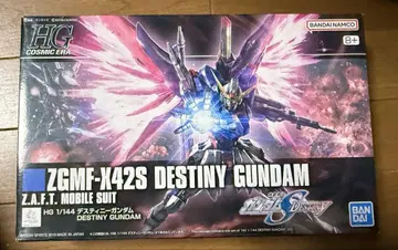 HG 1/144 데스티니 건담