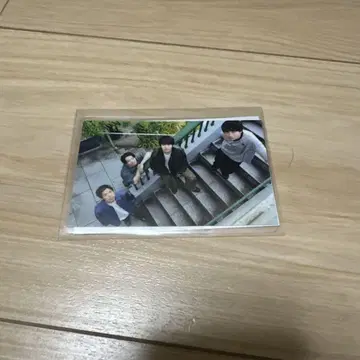 푸시풀 포트 매일을 물들여 조기 예약 특전 라이브 영상