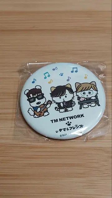 TMNETWORK IP 2025 캔뱃지