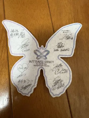 FANTASTICS 낙하물 나비
