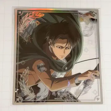 [ 가격 인하 가능 ] 진격의 거인 리바이 오로라 클리어 색지