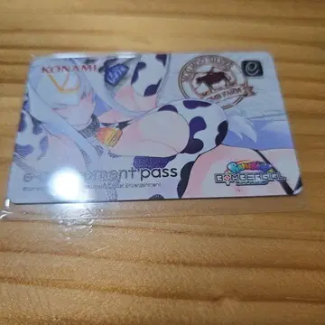 봄버걸 실바 이패스 e-amusement pass