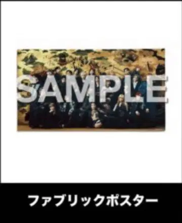 BMSG FES25 MEGA CUPSULE 패브릭 포스터