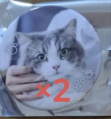 스토푸리 사토미군 원맨 라이브 캔뱃지