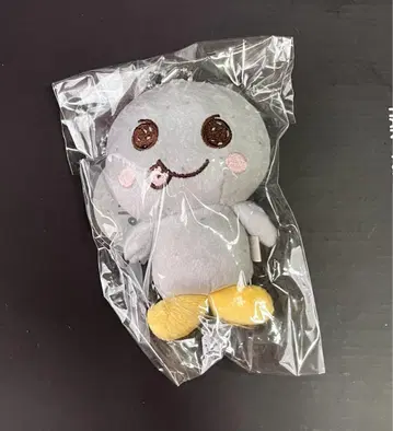 RIIZE 발렌타인 MD 송영드리