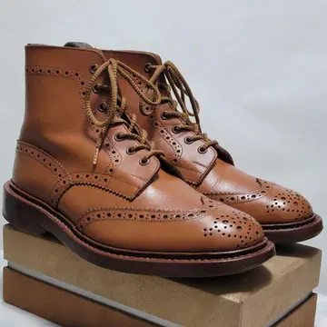 트리커스 스토우