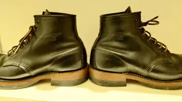 Redwing 100th Anniversary Beckman 8284