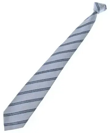SARTORIA TAGLIO D'ORO 넥타이 남성용
