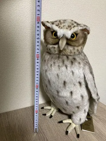 시마 올빼미 리얼 봉제 인형 약 40cm