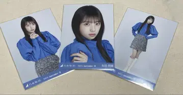 야타 모에카 스팽글 브로마이드 컴프