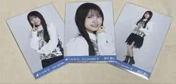 모리히라 레이신 스팽글 브로마이드 컴프