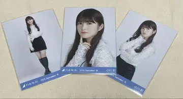 오가와 아야 스팽글 브로마이드 컴프