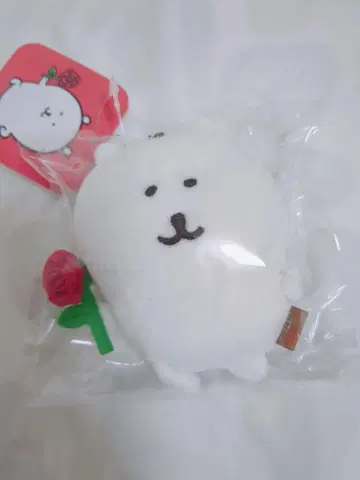 로즈 나가노의 곰 마스코트 나가노 마켓 마스코트 나가노의 곰