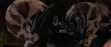 미니 마우스 레오파드 무늬 귀 머리띠