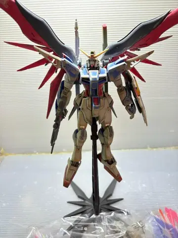 MG 1/100 데스티니 건담 익스트림 블라스트 모드 전체 페인팅 제품
