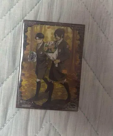 진격의 거인 리바이 한지