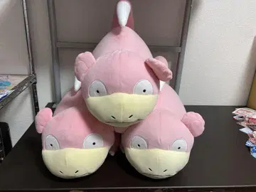 포켓몬 야돈 봉제 인형 3개 세트
