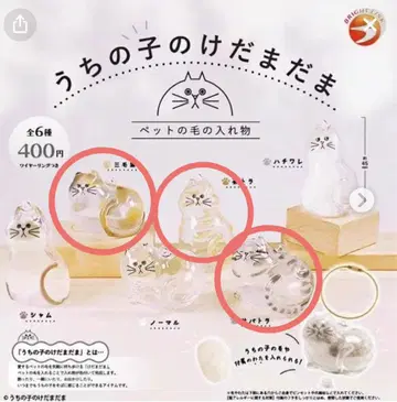 우리 애기 털뭉치 3개 세트