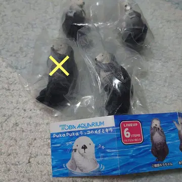 도바 수족관 가챠가챠 랏코의 메이와 키라