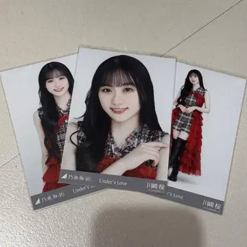 카와사키 벚꽃 Under's Love 컴프