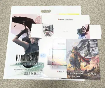 스퀘니 팜플렛 스토리지 박스 쇼핑백 3세트 TGS
