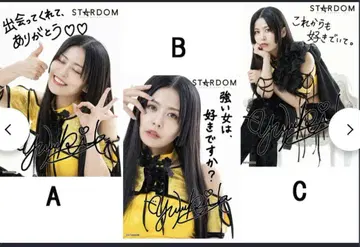 아이바 아이나 하리마 유키 프로레슬링 복귀 굿즈 컴플리트 세트