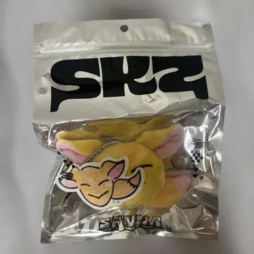 straykids 스키즈 스트레이키즈 아이엔 백참 멘프로