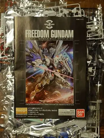 MG 1/100 기동전사 건담 SEED 프리덤 건담 Ver.2.0