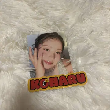 코하루 트레이딩 카드 팬미